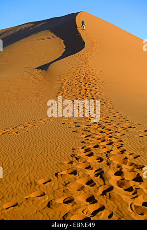 Randonnées touristiques dune 45 dans la lumière du soir, la Namibie, le Parc National Namib Naukluft Sossusvlei, Banque D'Images