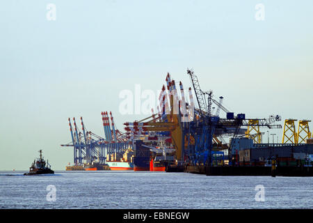 Stromkaje terminal à conteneurs et de remorqueur, Allemagne, Bremen Banque D'Images