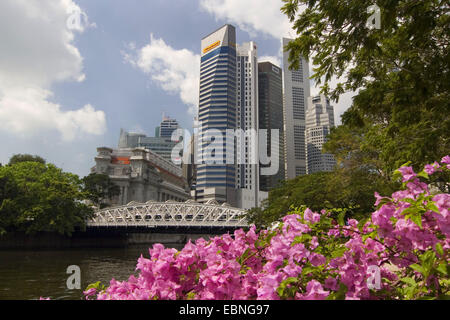 Vue depuis un parc de la ville à la gratte-ciel du quartier des affaires, Singapour Banque D'Images