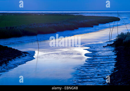 Ciel du soir à la mer du Nord près de Spieka Neufeld, comté de Cuxhaven, entrée du port, l'ALLEMAGNE, Basse-Saxe Banque D'Images