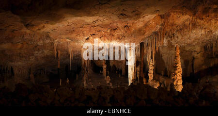 Grottes del Drach, grotte de dragon, Espagne, Baléares, Majorque, Porto Christo Banque D'Images