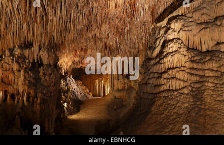 Grottes del Drach, grotte de dragon, Espagne, Baléares, Majorque, Porto Christo Banque D'Images