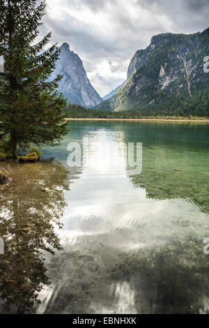 Lago di Dobiacco, inDolomite Toblacher Voir Alpes, Italie, Europe Banque D'Images