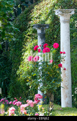 Répliques des collums antiques dans le jardin de la Villa Ephrussi de Rothschild, France, Villefranche-sur-Mer Banque D'Images