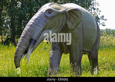 Gomphotherium (Gomphotherium), l'éléphant disparu primitiv Banque D'Images