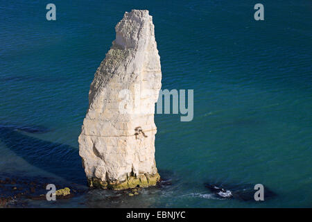 Rocher de l'aiguille d'Old Harry Rocks, Royaume-Uni, Angleterre, dans le Dorset, Old Harry Rocks Banque D'Images