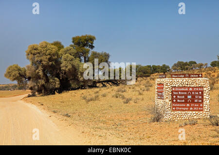 Route de terre dans la vallée de l'Auob près de Kamqua, signe avec la distance à l'autre camps, Afrique du Sud, Kgalagadi Transfrontier National Park Banque D'Images