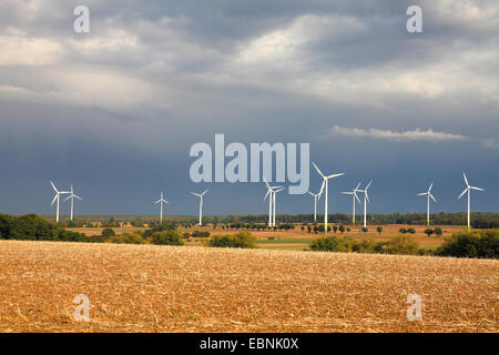 Éoliennes dans le Hellwegboerde, Allemagne, Rhénanie du Nord-Westphalie Banque D'Images