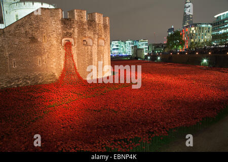 Les terres et les champs balayés du sang de rouge. 888 000 coquelicots porcelaine remplir les douves de la Tour de Londres, Londres, Royaume-Uni. 11Th Nov 2014 Banque D'Images