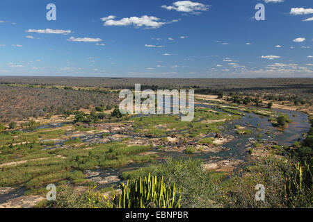 Olifants River vu de camp Olifants, Afrique du Sud, Kruger National Park Banque D'Images