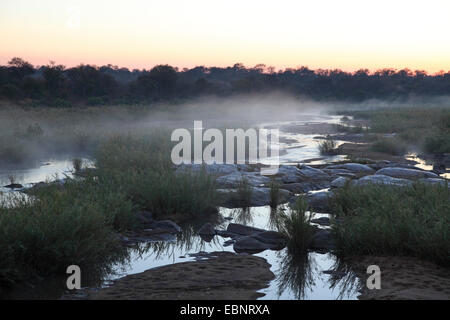 L'augmentation de brume à Sabie River près de Skukuza peu avant le lever du soleil, l'Afrique du Sud, Kruger National Park Banque D'Images