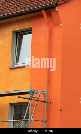 Pic Vert (Picus viridis), à l'échafaudage d'un bâtiment résidentiel à plusieurs étages qui est peint - un pic a construit un trou de nidification dans l'Allemagne, la façade Banque D'Images