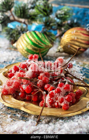 Kalina sur bac d'or et de décorations de Noël Banque D'Images