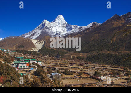 Vue depuis Pangboche à l'Ama Dablam, Népal, Himalaya, Khumbu Himal Banque D'Images