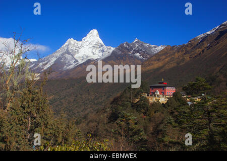 Le Monastère de Tengboche et l'Ama Dablam, Népal, Himalaya, Khumbu Himal Banque D'Images