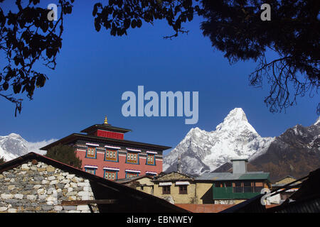 Le Monastère de Tengboche et l'Ama Dablam, Népal, Himalaya, Khumbu Himal Banque D'Images