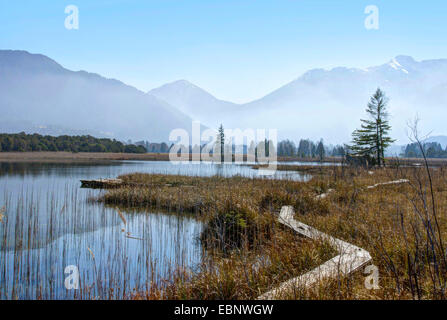 Lake Krebssee de Murnauer Moos, Wetterstein en arrière-plan, l'Allemagne, Bavière, Oberbayern, Haute-Bavière Banque D'Images