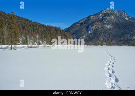 Pistes de raquette dans un paysage hivernal, Alpes Ammergau avec roscoff en arrière-plan, l'Allemagne, Bavière, Oberbayern, Haute-Bavière Banque D'Images