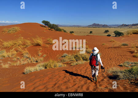 Randonneur dans le parc national de Naukluft Sesriem camp, près de la Namibie, le Parc National Namib Naukluft Banque D'Images