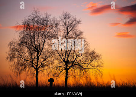 Domaine croix entre deux bouleaux au coucher du soleil, de l'Allemagne, Bade-Wurtemberg, Jura souabe, Frankenhofen Banque D'Images