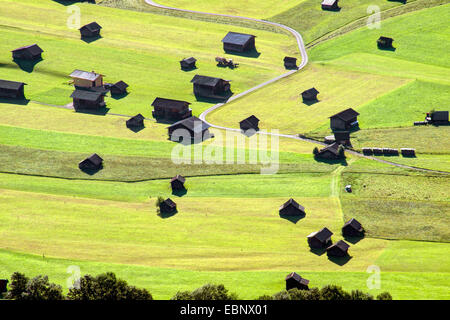 Granges à foin dans les prés, en Allemagne, en Bavière, Oberbayern, Haute-Bavière Banque D'Images