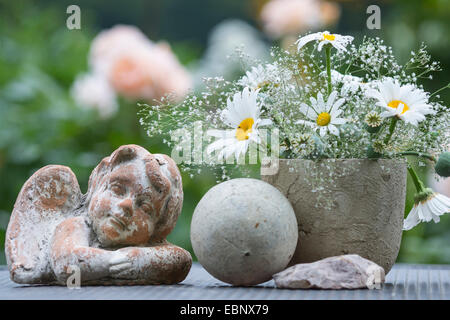 Décoration de jardin sur un bureau, pot de fleurs avec dasies et gypsophila, ALLEMAGNE, Basse-Saxe Banque D'Images