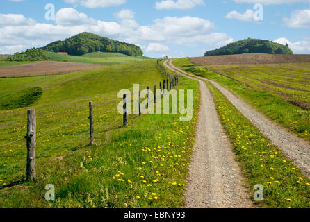 Chemin de champ en champ, paysage vallonné de l'Allemagne, Hesse, Basse-Saxe, Diemelseegebiet Banque D'Images