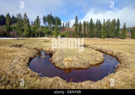 Dans un ruisseau de flexion meadows, Allemagne, Bavière, Oberbayern, Upper Bavaria, Wildsteig Banque D'Images