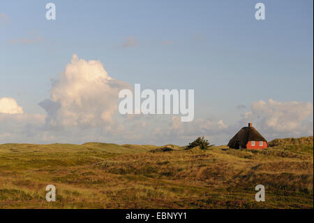 Paysage de dunes avec toit de chaume, le Danemark, l'Westjuetland, Nymindegab Banque D'Images