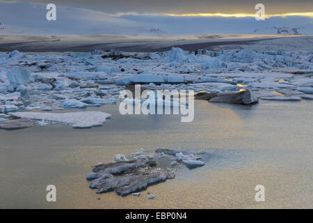 Joekulsarlon lac glaciaire dans la lumière du soir, l'Islande Banque D'Images