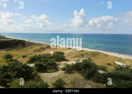 Vue de Darss au Côte de la mer Baltique, Allemagne, Mecklembourg-Poméranie-Occidentale, Poméranie occidentale Lagoon Salon National Park, né auf dem Darss Banque D'Images