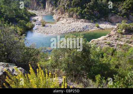 Crystal Clear mountain creek à Corse, France, Corse Banque D'Images