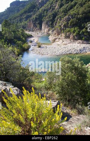 Crystal Clear mountain creek à Corse, France, Corse Banque D'Images