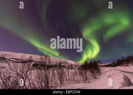 Eddy aurora en paysage d'hiver, la Norvège, Troms, Finnvikdalen Banque D'Images