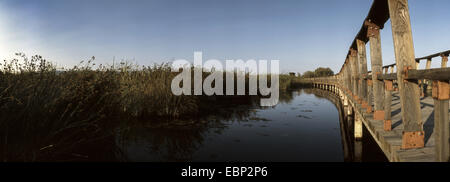 Promenades sur les lagunes. Le Parc National de Las Tablas. Daimiel. Ciudad Real. L'Espagne. Banque D'Images