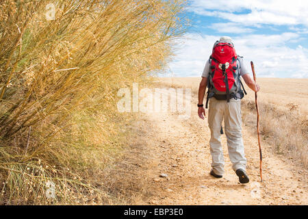 Chemin de Saint-Jacques de Compostelle, pèlerinage sur le difficile chemin de San Nicolßs del Real Camino à Sahagun,, Espagne, Castille et Leon, Leon Banque D'Images