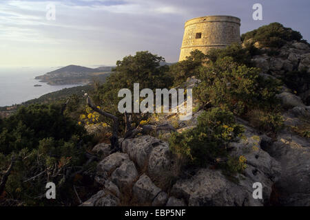 Tour de guet Torre des Savinar au point de vue Mirador des Savinar, Espagne, Baléares, Ibiza Banque D'Images