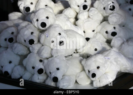 Jouets en peluche représenté célèbre Knut l'ours polaire dans une boutique de souvenirs au zoo de Berlin, Allemagne. Banque D'Images