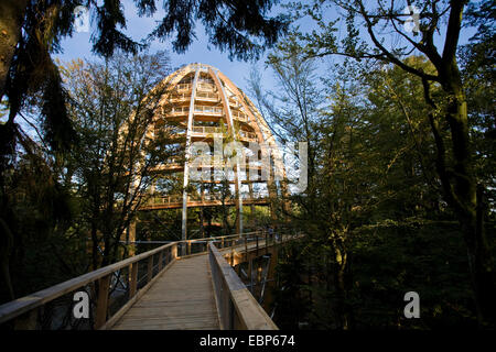 Chemin forestier éducatif Bayerischer Wald, passerelle menant à la recherche, de l'Allemagne, la Bavière, le Parc National du Bayerischer Wald, Neuschoenau Banque D'Images