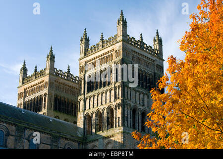 Le Comté de Durham, Durham, Angleterre. Tours jumelles de la cathédrale de Durham, l'automne feuillage d'un chêne pédonculé (Quercus robur) en premier plan. Banque D'Images