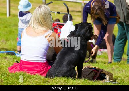 Femme et chien regardant des événements survenus à Lowther Show, Lowther Estate, Lowther, Penrith, Cumbria. Banque D'Images