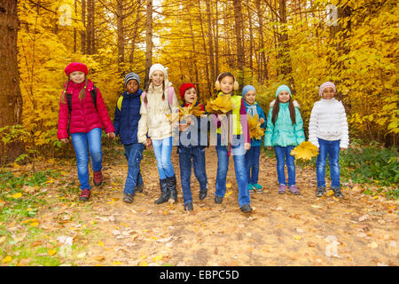 Groupe d'enfants avec feuilles d'érable grappes marcher ensemble Banque D'Images