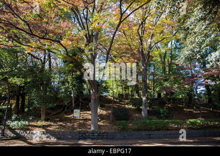 Suribachiyama,parc Ueno,Taito-Ku Tokyo,Japon, Banque D'Images