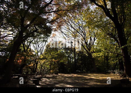 Suribachiyama,parc Ueno,Taito-Ku Tokyo,Japon, Banque D'Images