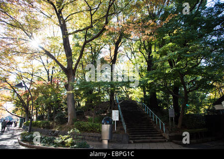 Suribachiyama,parc Ueno,Taito-Ku Tokyo,Japon, Banque D'Images