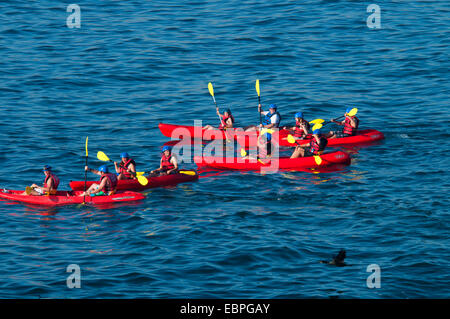 Les kayakistes, Ellen Browning Scripps Parc Marin, La Jolla, Californie Banque D'Images