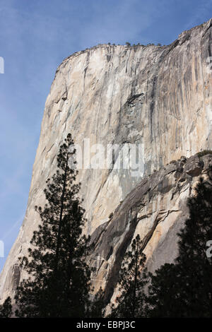 El Capitan. La vallée Yosemite, Yosemite National Park, Mariposa County, Californie, USA Banque D'Images
