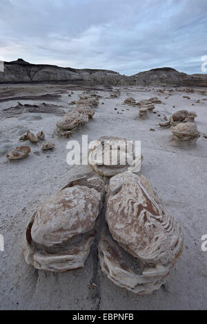 Rochers érodés à l'usine d'Œufs, Bisti Wilderness, Nouveau Mexique, États-Unis d'Amérique, Amérique du Nord Banque D'Images