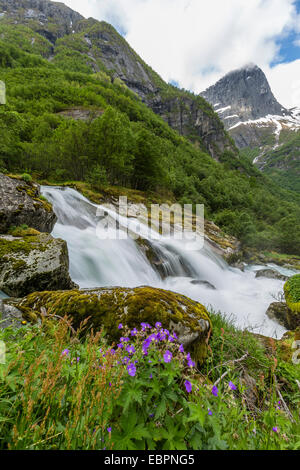 Vitesse d'obturation lente de l'eau soyeuse Olden River comme il coule le long Briksdalen, Olden, Norvège, Norway, Scandinavia, Europe Banque D'Images