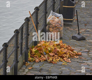 Pile et sac de feuilles d'automne par tamise Londres Angleterre Europe Banque D'Images